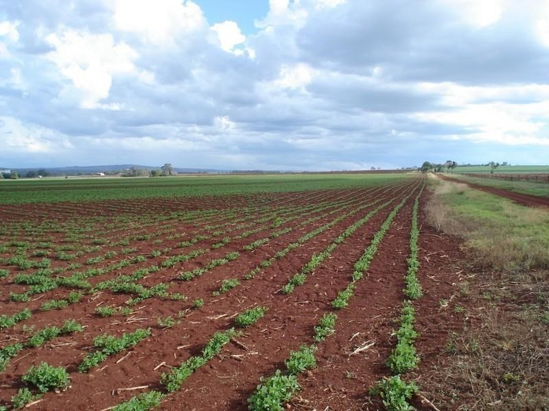 1 West Street, Kingaroy QLD 4610