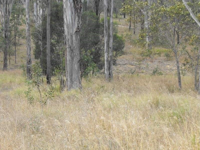 Lot 39 Franklin Road, Wattle Camp QLD 4615