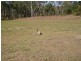 Lot 30 Maidenwell Upper Yarraman Road, Maidenwell QLD 4615