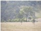 Cooyar QLD 4402