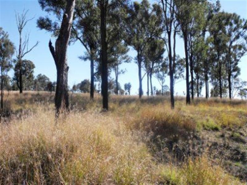 Nanango QLD 4615