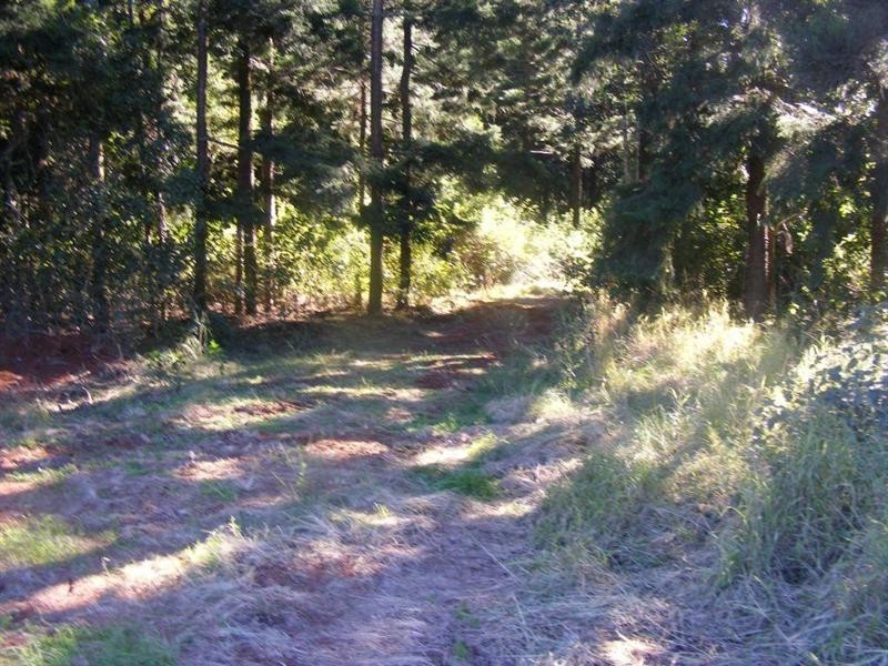 Lot 10 Sawmill Road, Blackbutt QLD 4306