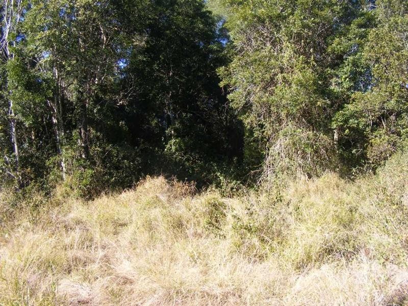 Lot 10 Sawmill Road, Blackbutt QLD 4306