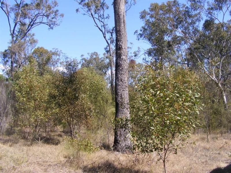 Nanango QLD 4615