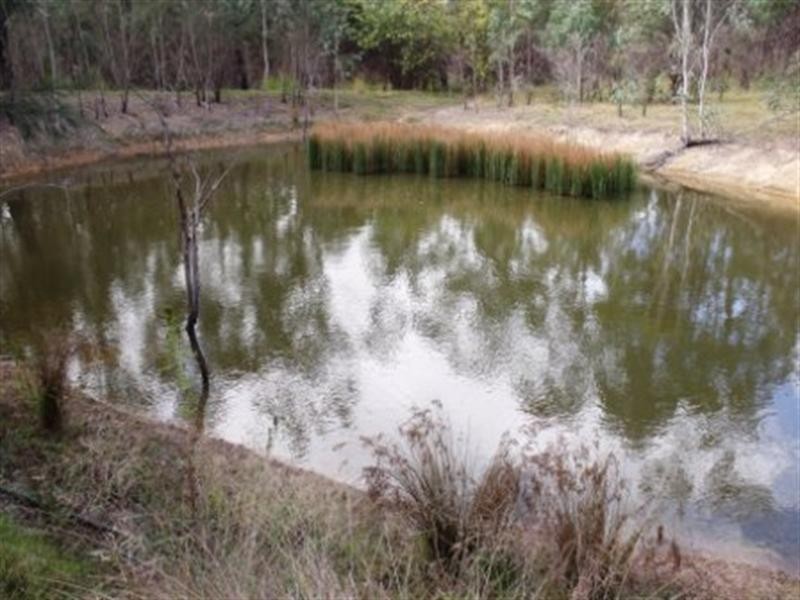 Sandy Ridges QLD 4615