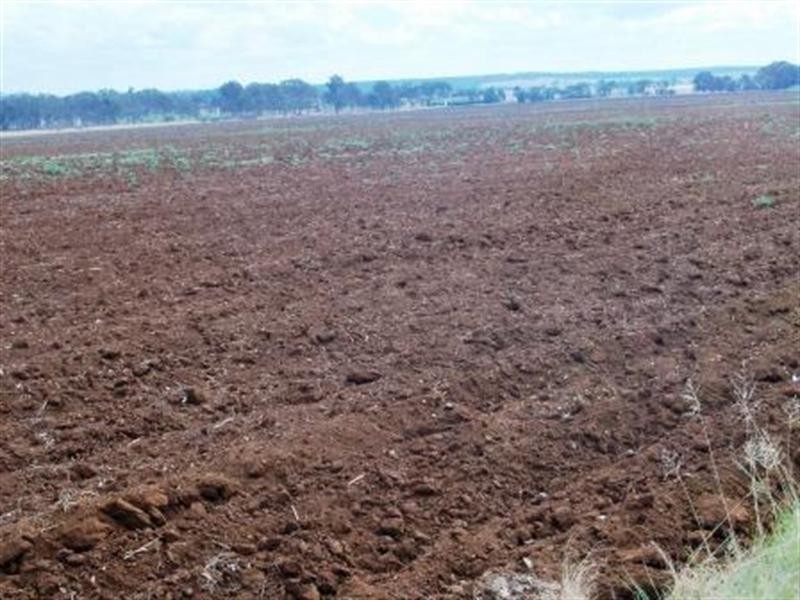 16171 D’Aguilar Highway, Kingaroy QLD 4610