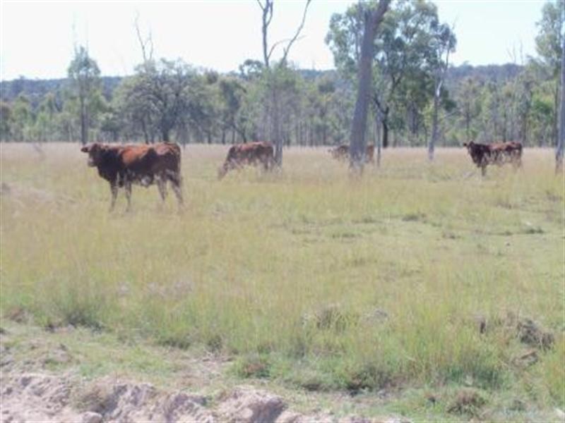 00 Chinchilla – Wondai Road, Ballogie QLD 4610