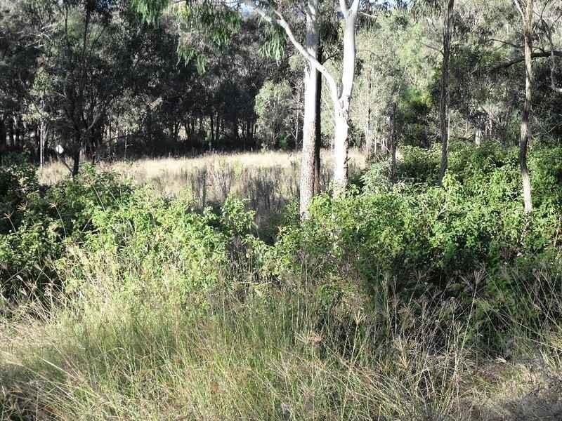 Lot 33 Cooyar Rangemore Road, Cooyar QLD 4402