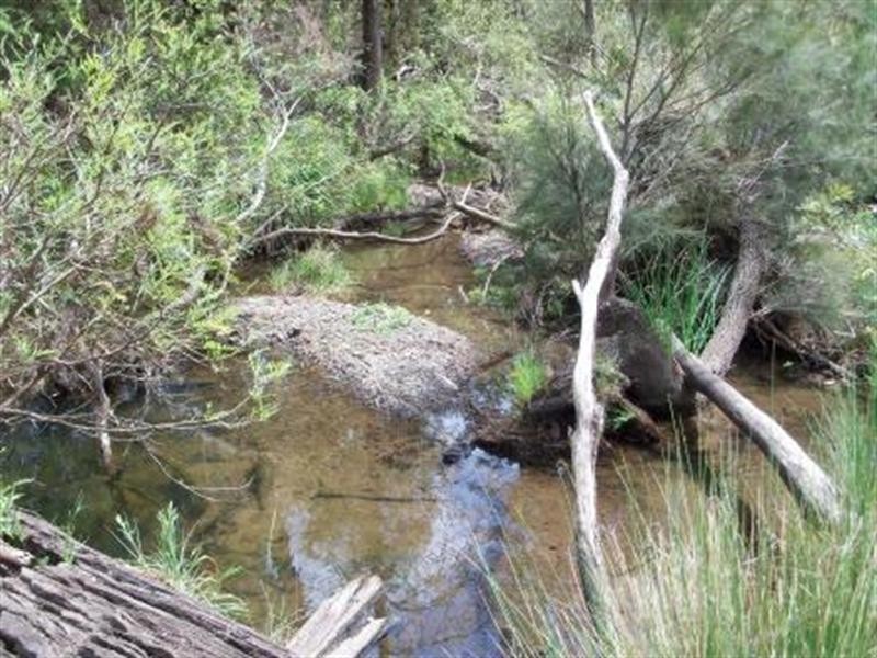 Lot 73 Kingaroy-Cooyar Road, Maidenwell QLD 4615