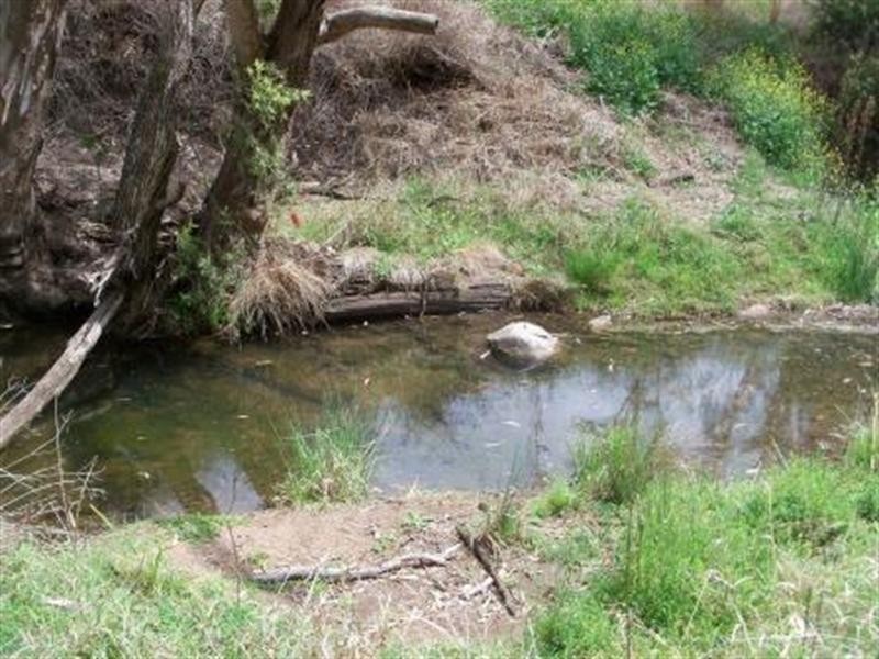 Lot 73 Kingaroy-Cooyar Road, Maidenwell QLD 4615