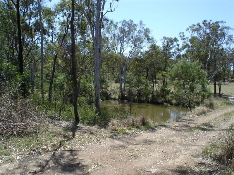 253 Parker Road, Ellesmere QLD 4610