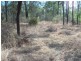 Nanango QLD 4615