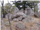 Maidenwell QLD 4615