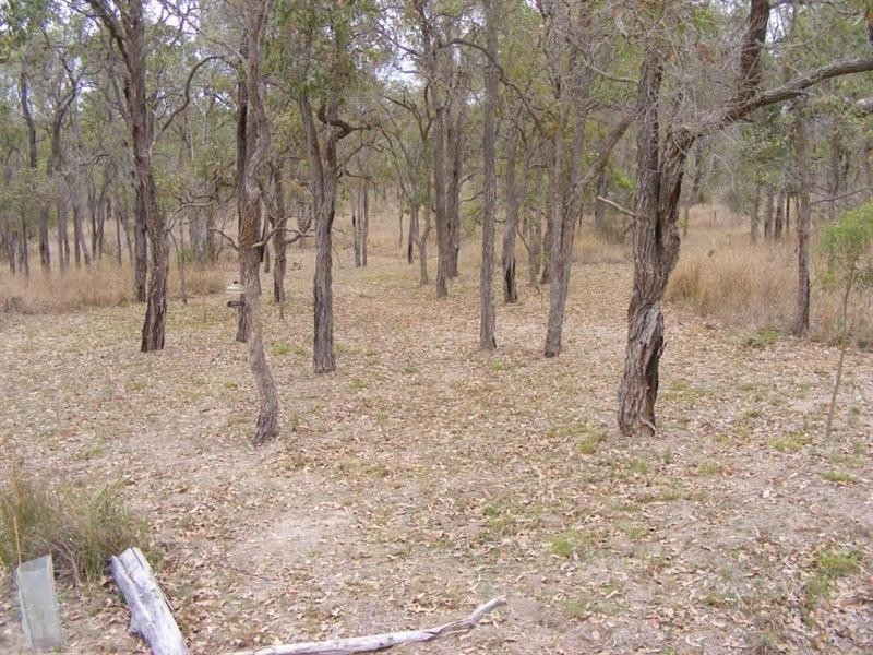 Maidenwell QLD 4615