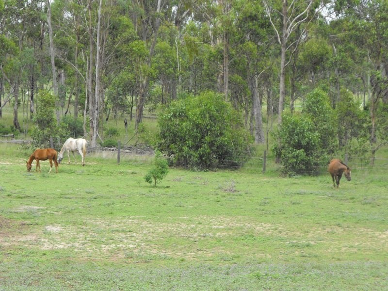 Nanango QLD 4615