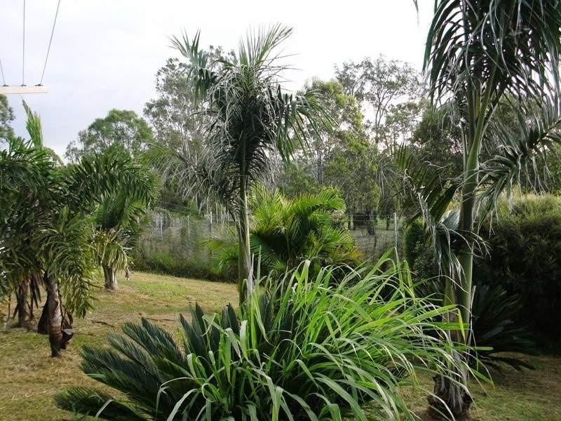 Nanango QLD 4615