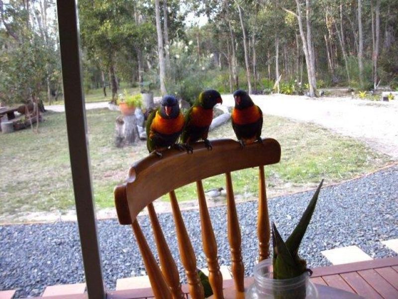 26 Raymond Road, Tarong QLD 4615