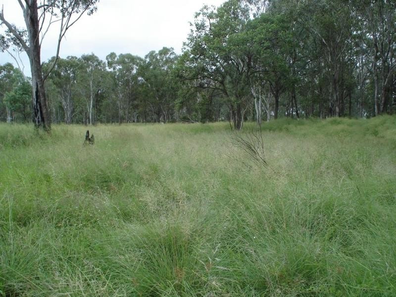 23 to 25 Oilseed Road, Memerambi QLD 4610