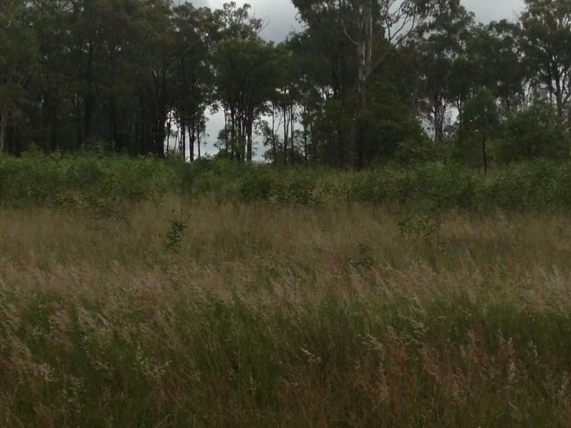 Wattle Camp QLD 4615