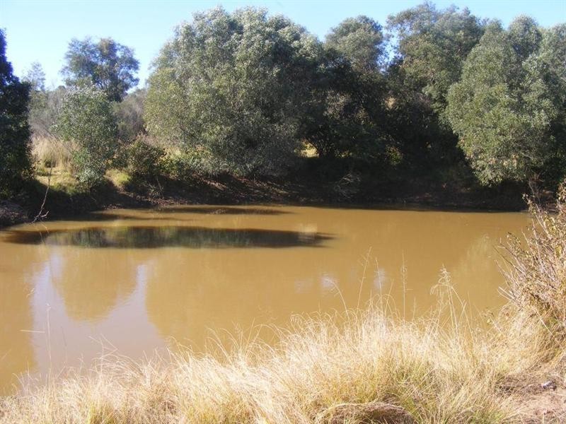 Nanango QLD 4615