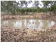 Nanango QLD 4615