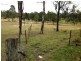 Nanango QLD 4615