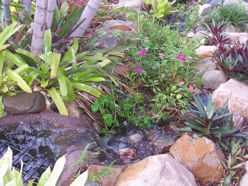 16 Macarthur Street, Collinsville QLD 4804