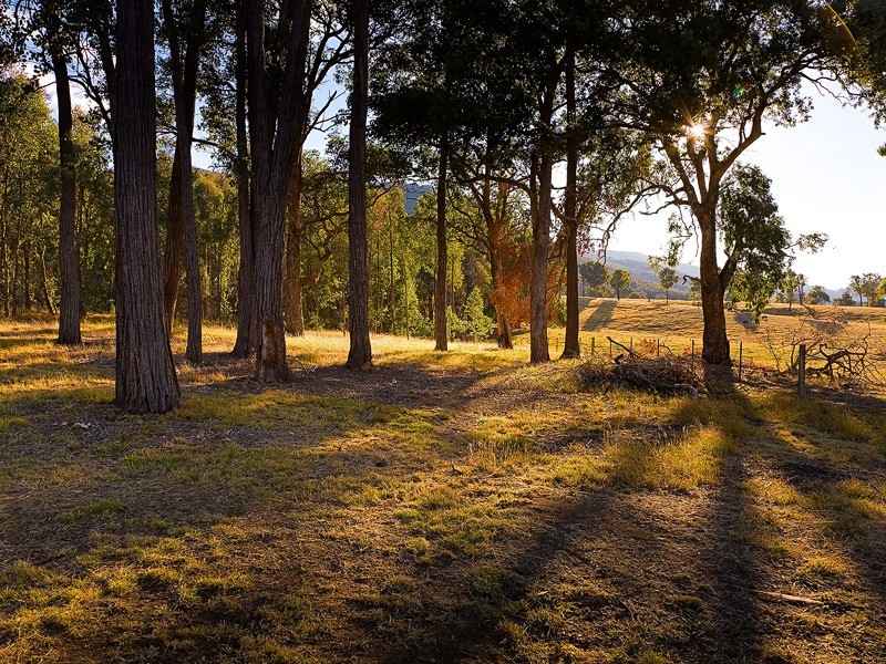 166 Cogdell Lane, Kergunyah VIC 3691