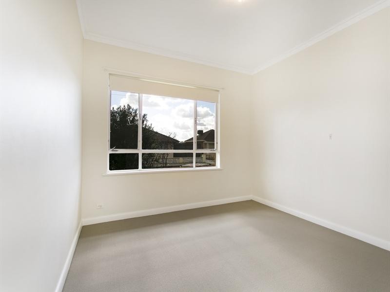 8 South Street, Hectorville SA 5073