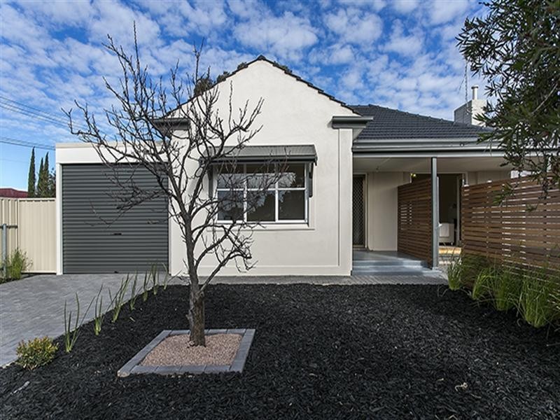 38 Nilpena Avenue, Park Holme SA 5043