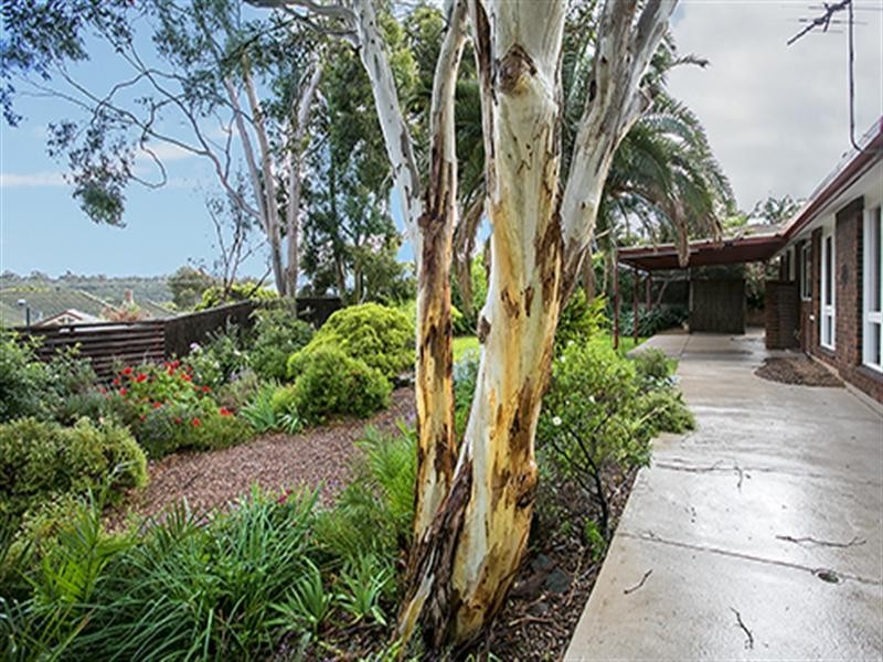 25 Witton, Flagstaff Hill SA 5159