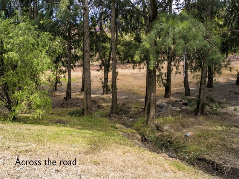 7 Creekvale Court, Wynn Vale SA 5127