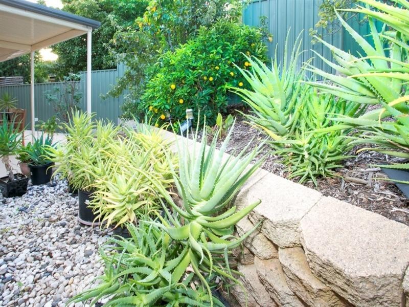 1 Thorpe Street, Oakden SA 5086