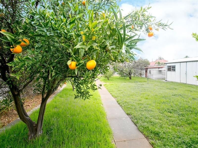 17 Nash Street, Croydon Park SA 5008