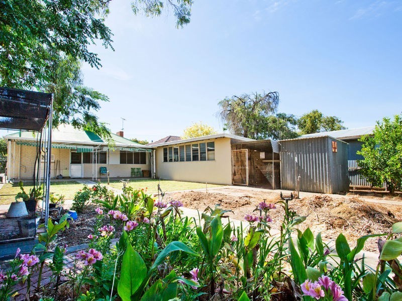 15 Frank Street, St Morris SA 5068