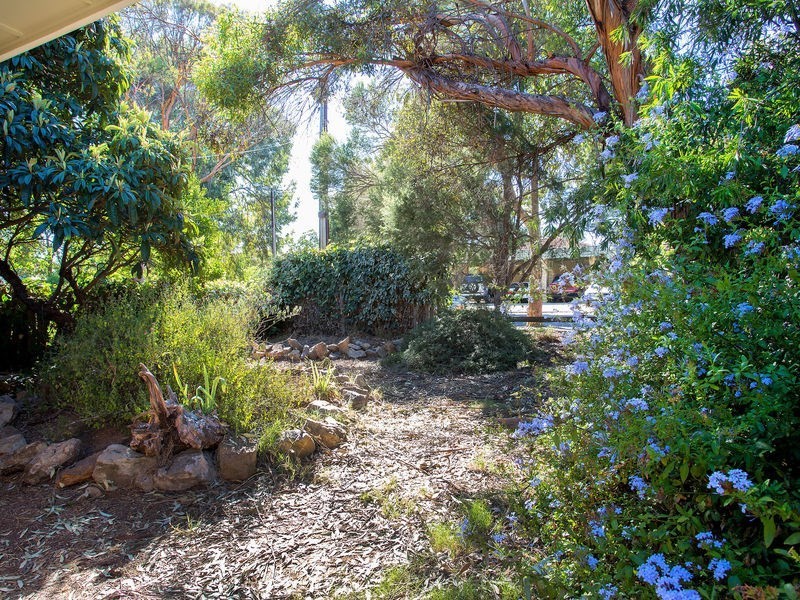 146 Third Avenue, Royston Park SA 5070