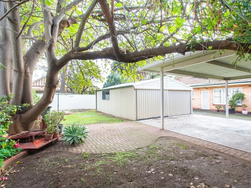 446 Magill Road, Kensington Gardens SA 5068