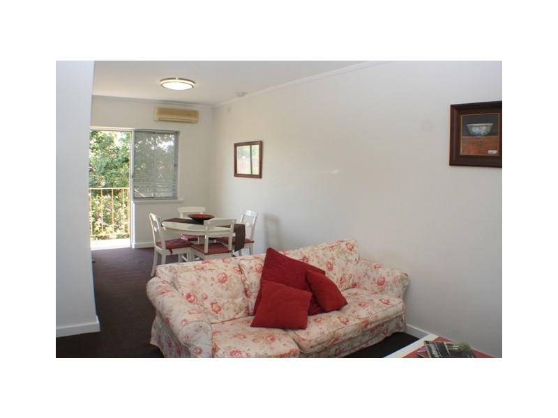 2/12 Barker Grove, Toorak Gardens SA 5065