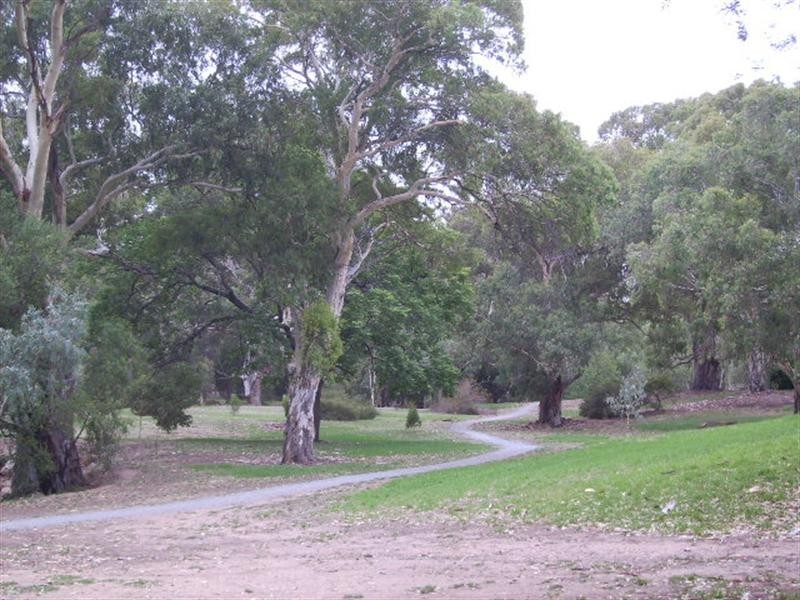 1A Milton Avenue, Tranmere SA 5073