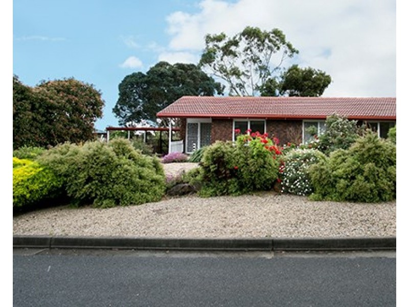 25 Witton Street, Flagstaff Hill SA 5159