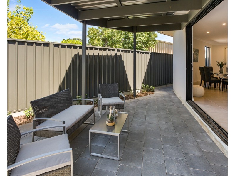 49 Dudley Street, North Plympton SA 5037