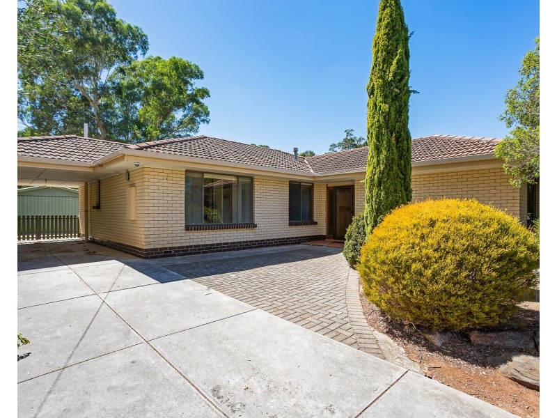 19 Schulze Road, Athelstone SA 5076