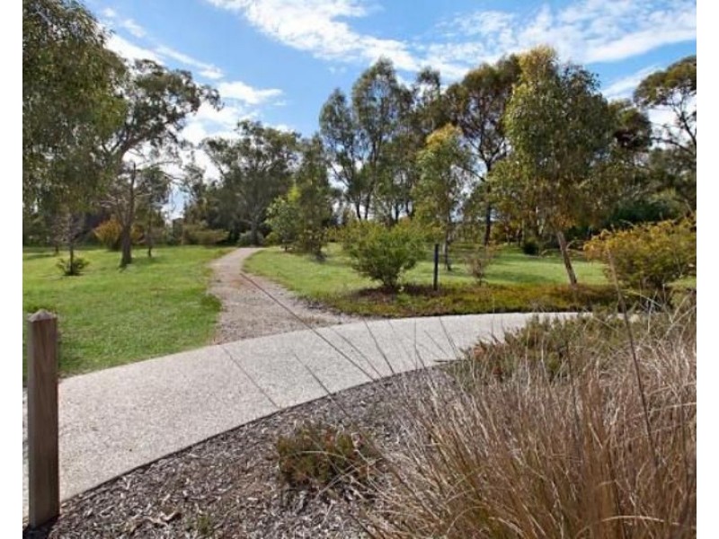 51 Avocet Drive, Mawson Lakes SA 5095