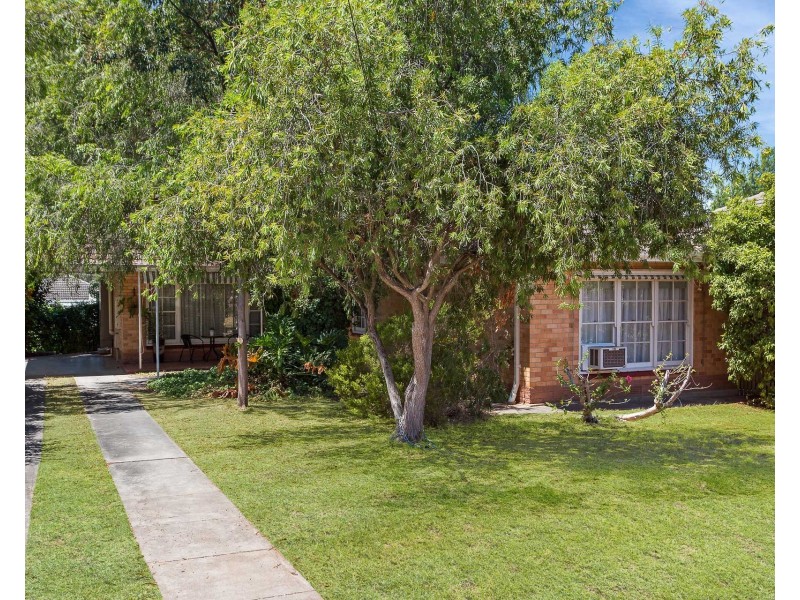 40 Fife Street, Klemzig SA 5087