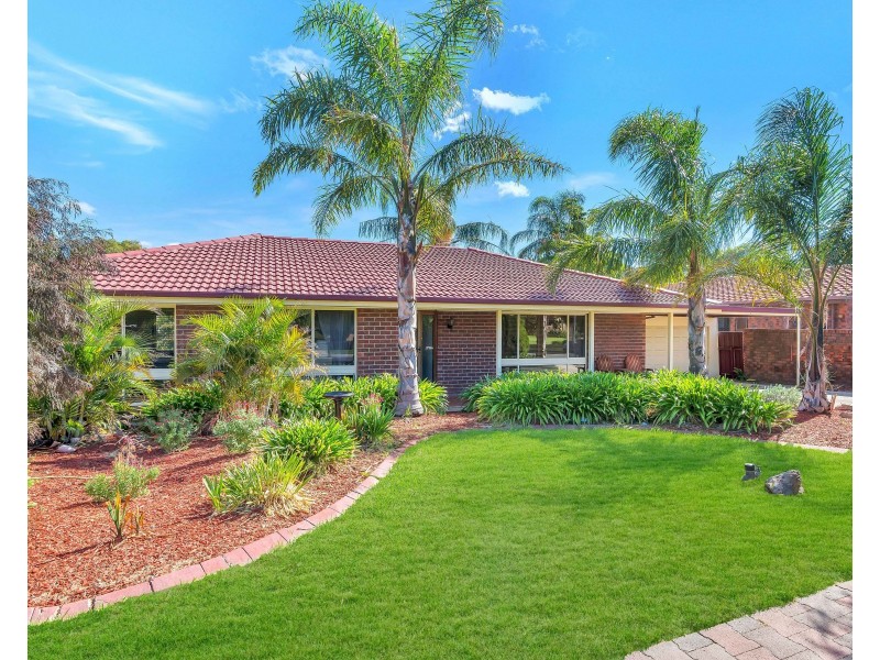 3 Sharlene Court, Athelstone SA 5076