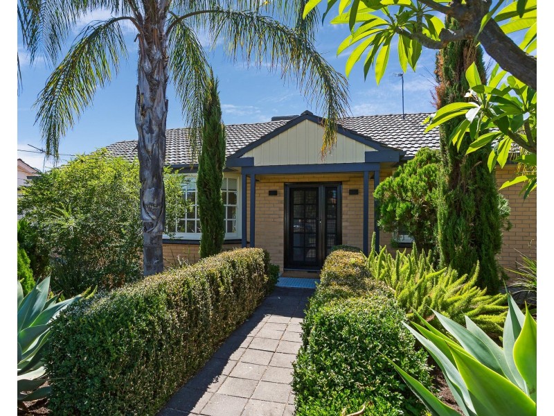 3 Andrea Avenue, Newton SA 5074