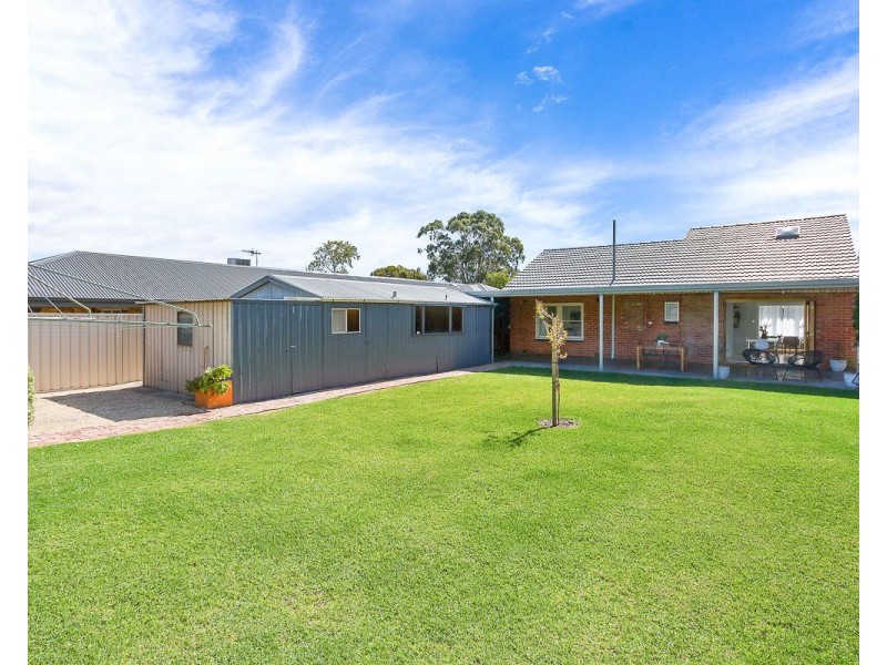 24 Hancock Avenue, Campbelltown SA 5074
