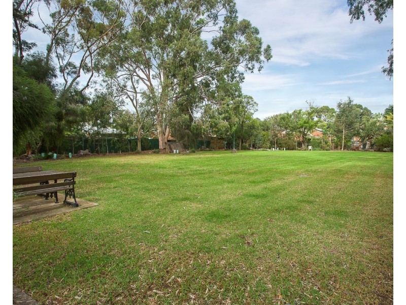 6/62 Maesbury Street, Kensington SA 5068