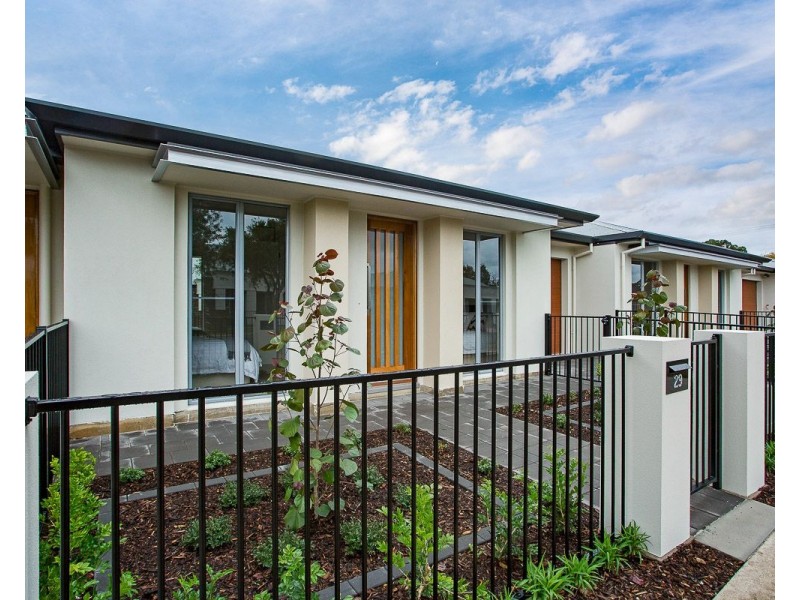 31 Rotorua Avenue, Park Holme SA 5043