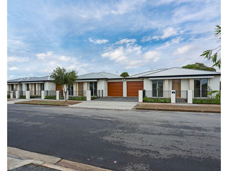 31 Rotorua Avenue, Park Holme SA 5043